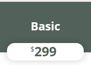 Basic Package (Tax Preperation)