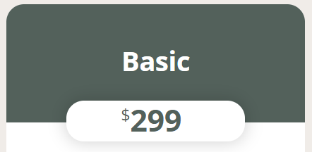 Basic Package (Tax Preperation)